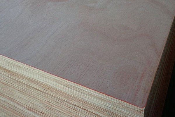 1220*2440���Ӱ�